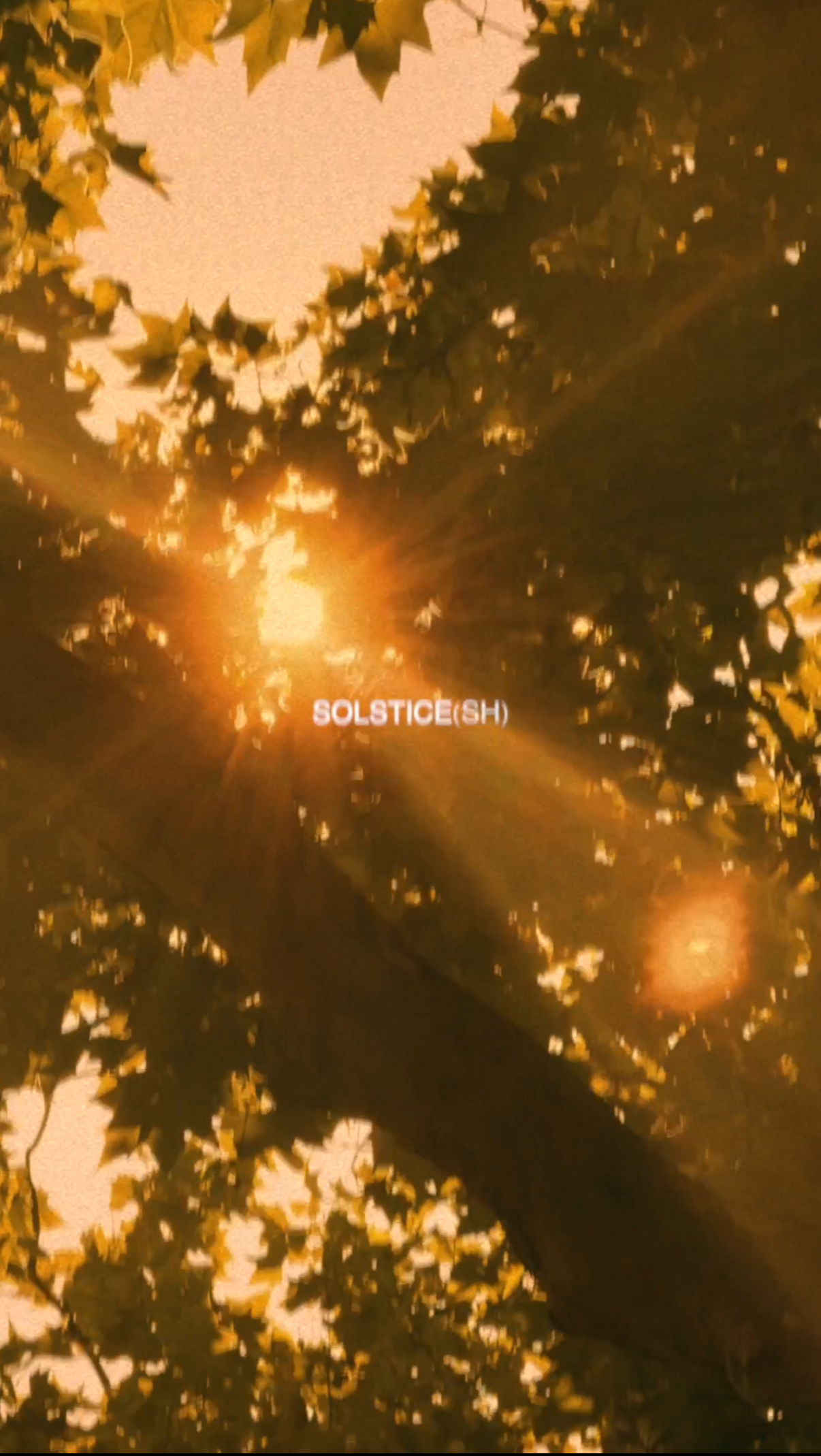 feat #11 | Solstice(sh)